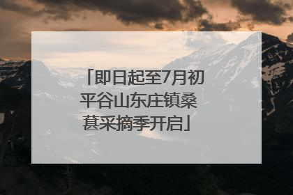 即日起至7月初 平谷山东庄镇桑葚采摘季开启