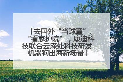 去国外“当球童”、“看家护院”，康迪科技联合云深处科技研发机器狗出海新场景