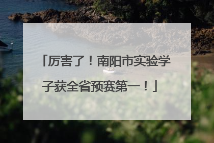 厉害了！南阳市实验学子获全省预赛第一！