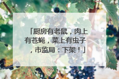 厨房有老鼠，肉上有苍蝇，菜上有虫子，市监局：下架！
