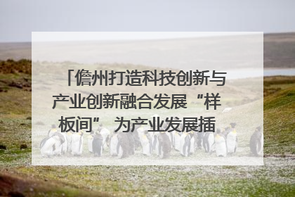 儋州打造科技创新与产业创新融合发展“样板间” 为产业发展插上科技“翅膀”