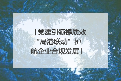 党建引领提质效 “局港联动”护航企业合规发展