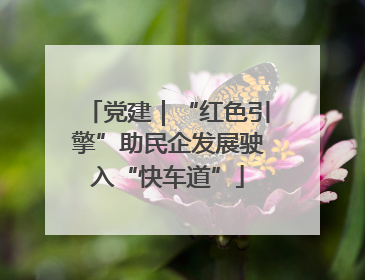 党建｜“红色引擎”助民企发展驶入“快车道”