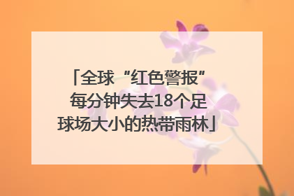全球“红色警报”  每分钟失去18个足球场大小的热带雨林