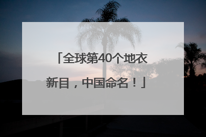 全球第40个地衣新目，中国命名！