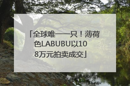 全球唯一一只！薄荷色LABUBU以108万元拍卖成交