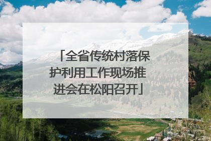 全省传统村落保护利用工作现场推进会在松阳召开