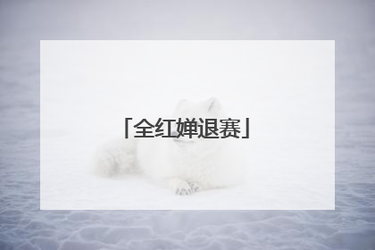 全红婵退赛