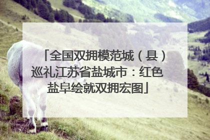 全国双拥模范城（县）巡礼江苏省盐城市：红色盐阜绘就双拥宏图