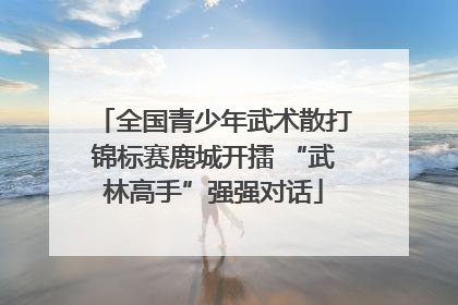 全国青少年武术散打锦标赛鹿城开擂 “武林高手”强强对话