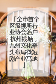 全市首个区级视听行业协会落户杭州钱塘，九州文化牵头布局微短剧产业高地