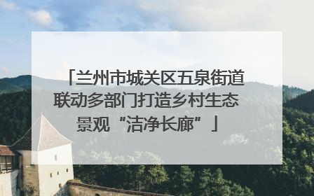兰州市城关区五泉街道联动多部门打造乡村生态景观“洁净长廊”