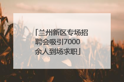 兰州新区专场招聘会吸引7000余人到场求职