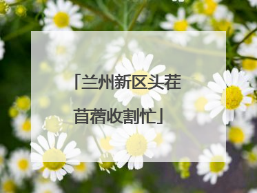 兰州新区头茬苜蓿收割忙