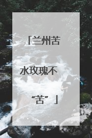 兰州苦水玫瑰不“苦”