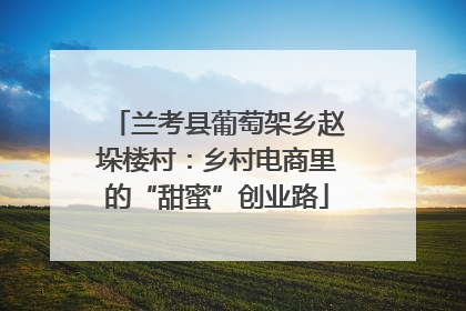 兰考县葡萄架乡赵垛楼村：乡村电商里的“甜蜜”创业路