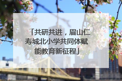 共研共进，眉山仁寿城北小学共同体赋能教育新征程