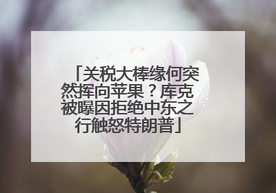关税大棒缘何突然挥向苹果？库克被曝因拒绝中东之行触怒特朗普