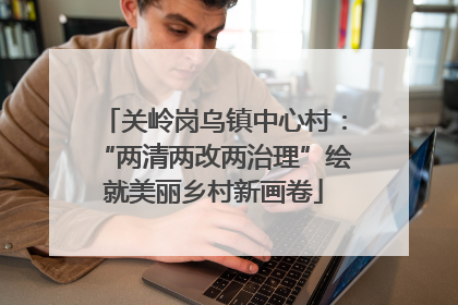 关岭岗乌镇中心村：“两清两改两治理”绘就美丽乡村新画卷