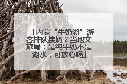 内蒙“牛奶湖”游客排队接奶？当地文旅局：是纯牛奶不是湖水，可放心喝