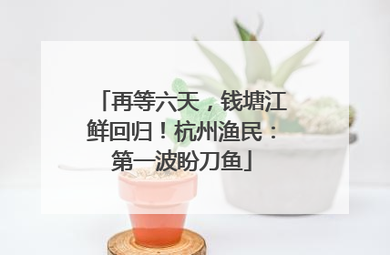 再等六天，钱塘江鲜回归！杭州渔民：第一波盼刀鱼
