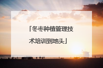 冬枣种植管理技术培训到地头