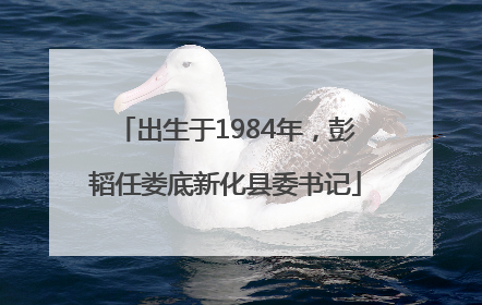 出生于1984年，彭韬任娄底新化县委书记