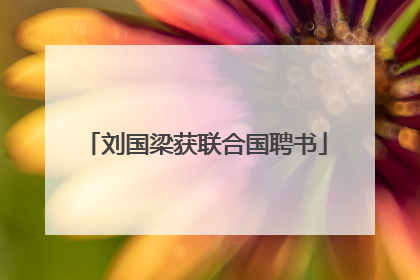 刘国梁获联合国聘书