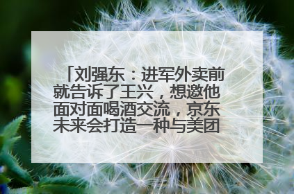 刘强东：进军外卖前就告诉了王兴，想邀他面对面喝酒交流，京东未来会打造一种与美团不同的商业模式