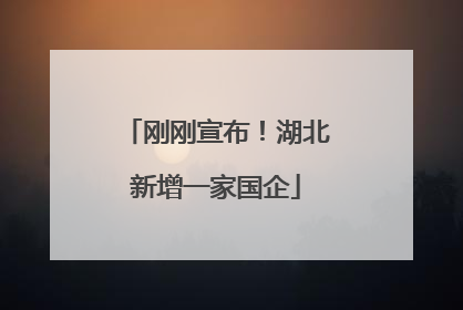 刚刚宣布！湖北新增一家国企