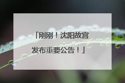 刚刚！沈阳故宫发布重要公告！