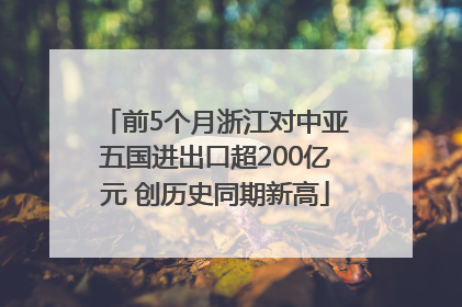 前5个月浙江对中亚五国进出口超200亿元 创历史同期新高