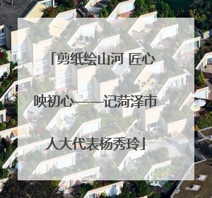 剪纸绘山河 匠心映初心——记菏泽市人大代表杨秀玲