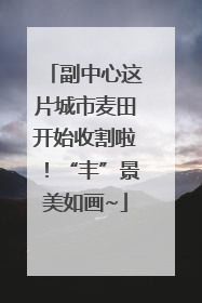 副中心这片城市麦田开始收割啦！“丰”景美如画~