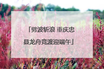 劈波斩浪 重庆忠县龙舟竞渡迎端午