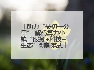 助力“最初一公里” 解码算力小镇“服务+科技+生态”创新范式