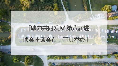 助力共同发展 第八届进博会座谈会在土耳其举办