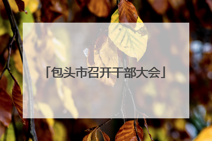 包头市召开干部大会