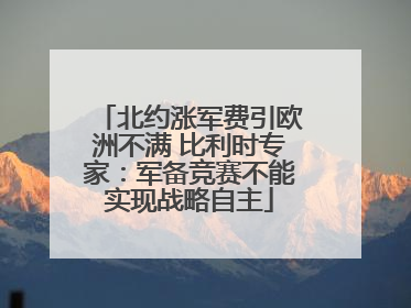北约涨军费引欧洲不满 比利时专家：军备竞赛不能实现战略自主