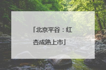 北京平谷：红杏成熟上市