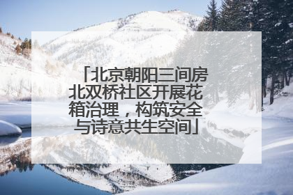 北京朝阳三间房北双桥社区开展花箱治理，构筑安全与诗意共生空间