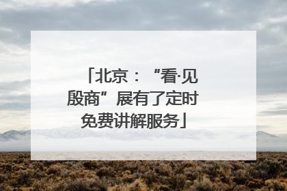 北京：“看·见殷商”展有了定时免费讲解服务
