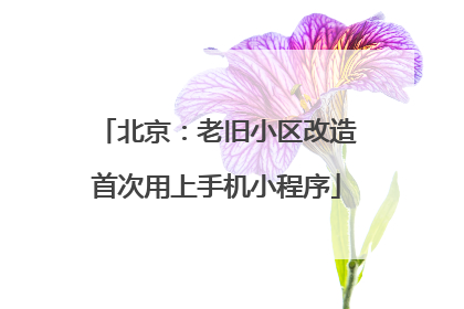 北京：老旧小区改造首次用上手机小程序