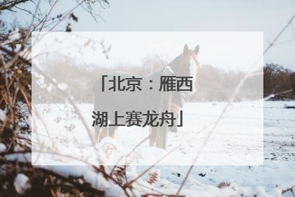 北京：雁西湖上赛龙舟