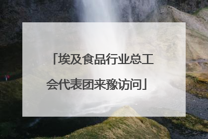 埃及食品行业总工会代表团来豫访问