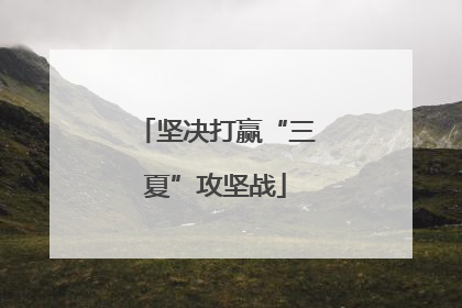 坚决打赢“三夏”攻坚战