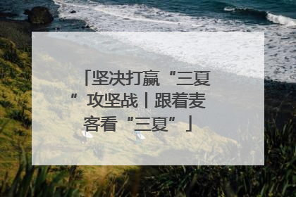 坚决打赢“三夏”攻坚战丨跟着麦客看“三夏”