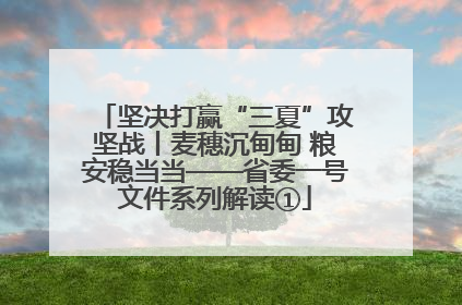 坚决打赢“三夏”攻坚战丨麦穗沉甸甸 粮安稳当当——省委一号文件系列解读①