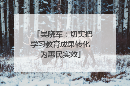 吴晓军：切实把学习教育成果转化为惠民实效