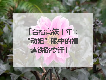 合福高铁十年：“动姐”眼中的福建铁路变迁